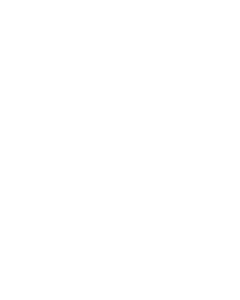 Logo Delaui 2